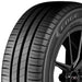 Kelly Edge Sport 356473090