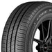 Kelly Edge Touring A/S 356344081