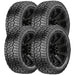 Leao Lion Climber R/T 221037423