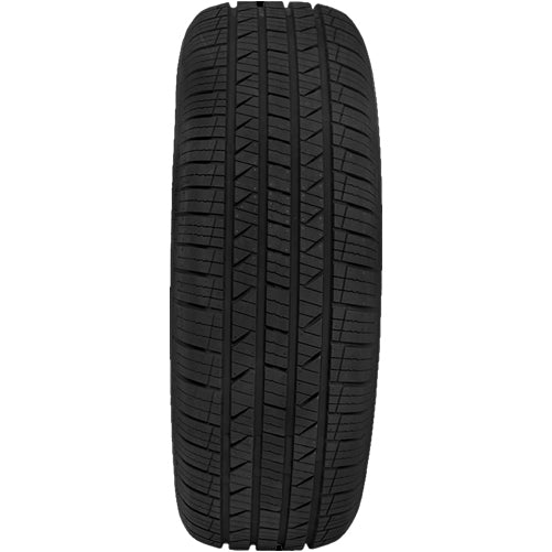 Leao Lion Sport HP3 221012046