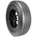 Leao Lion Sport H/T 221020487