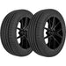 Leao Lion Sport 3 221022592