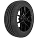 Leao Lion Sport 3 221018900