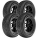 Lionhart Imara H/T LHGSIHT1760010