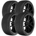 Lionhart Ramani A/S LHGSRAS1860010