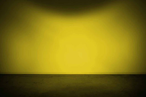 Morimoto 4Banger Replacement Lens BAF206