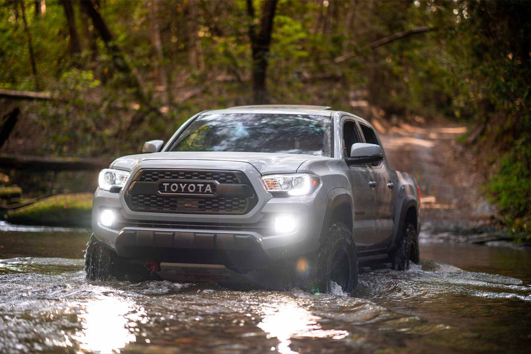 Morimoto 2Stroke 4.0 5202 LED Bulbs