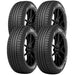 Nokian One T431331