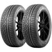 Nokian Remedy WRG5 T432567