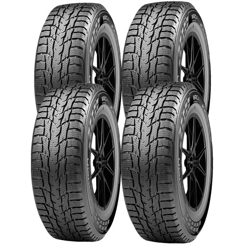 Nokian WR C3 T429127