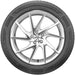 Pantera Platinum Touring A/S 151904
