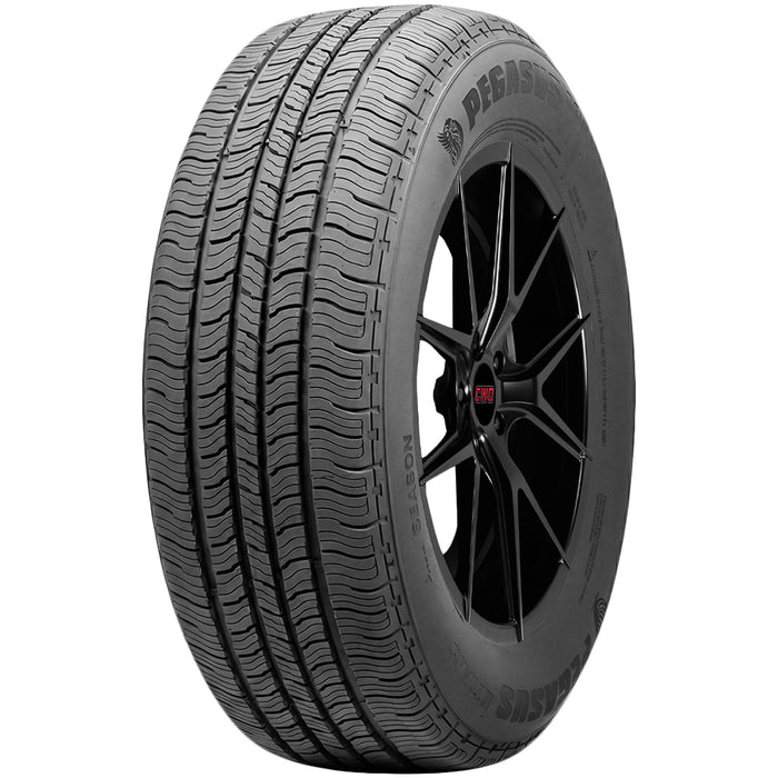 Pegasus HTX AS 1792241701