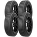 Petlas Imperium PT515 P22512