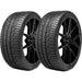 Pirelli P-Zero 2205900