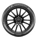 Pirelli P-Zero Trofeo RS 4080200