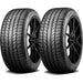 Pirelli P-Zero Rosso Direzionale 1515900