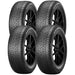 Pirelli Scorpion Winter 2 4234800