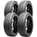 Presa PSAS1 MXP206516