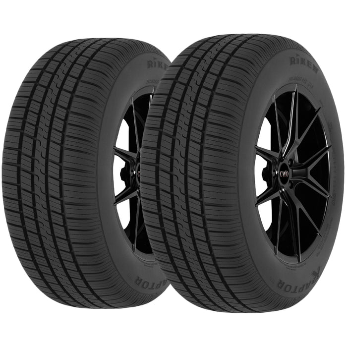 Riken Raptor HR 674793