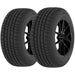 Riken Raptor HR 674793