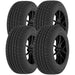 Riken Raptor HR 674793