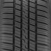 Riken Raptor VR 749413