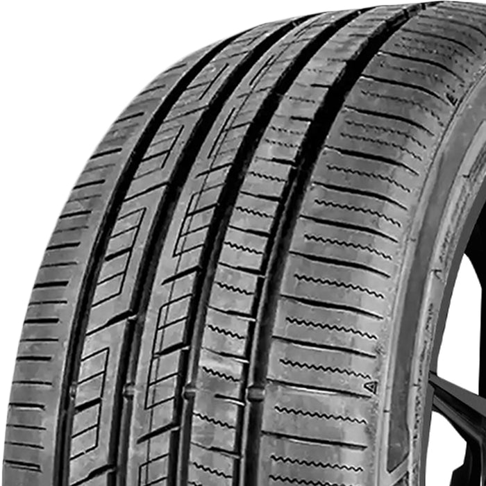 Royal Black Racing Trac 20000589