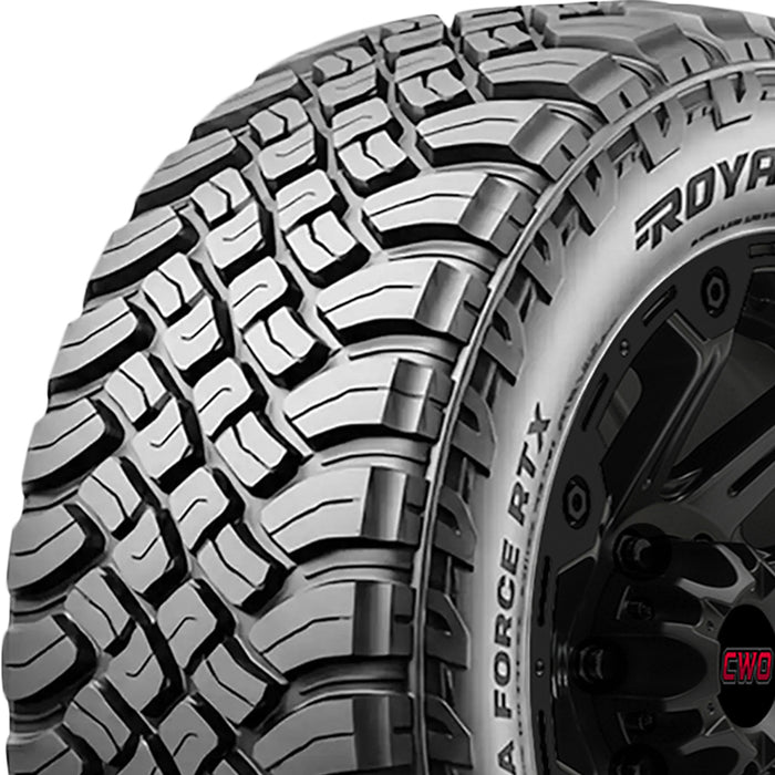Royal Black Terra Force RTX 20003528