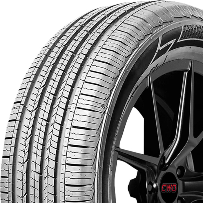 Royal Black Touring HP 20000511