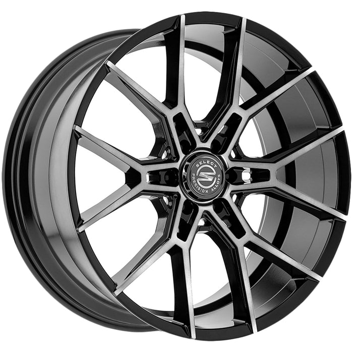 Select Precision S102 Alpine S102220089P3010