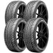 Summit Ultra Max HP 10301