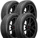 Tesche Neo Legend Sport A/S TCNLSA15