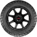 Venom Power 6S Road To Success X/T 6S-TVPXT77