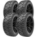 Venom Power Terra Hunter R/T+ CVPRT02