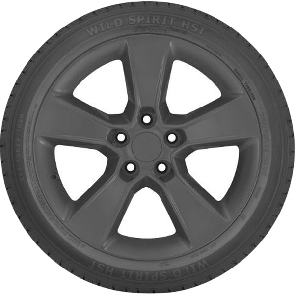 (QTY 2) 275/45R20 Wild Spirit HST 110V SL Black Wall Tires