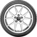 Yokohama Advan Sport ZPS 110110195