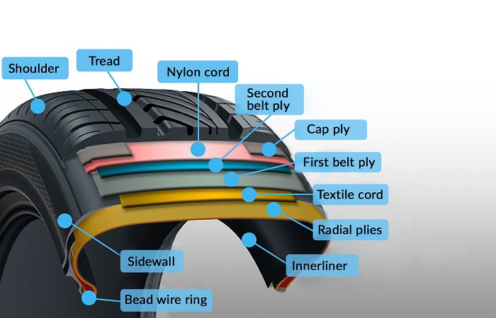 Tire Layer Diagram